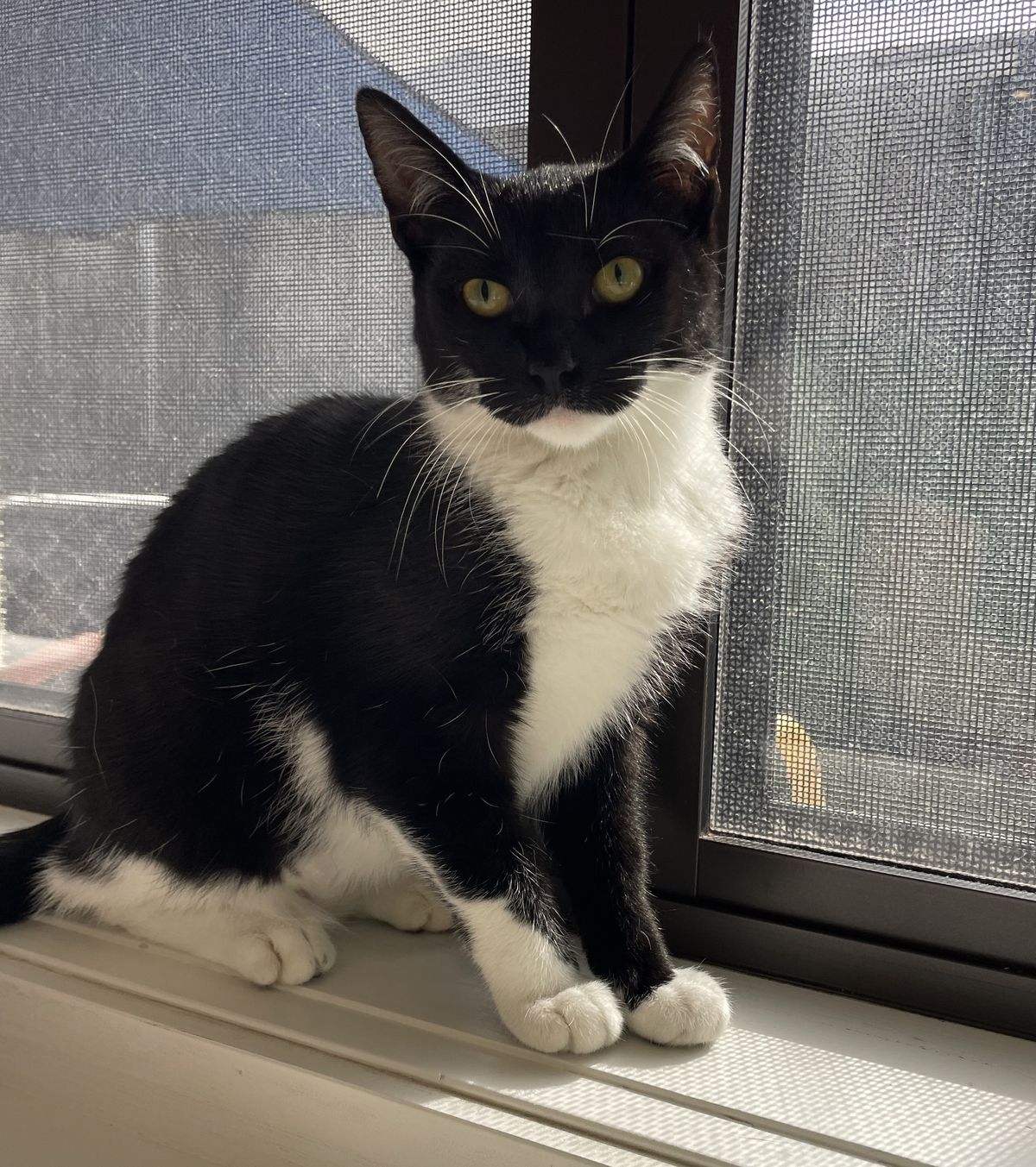 Gallery image: Kotahi