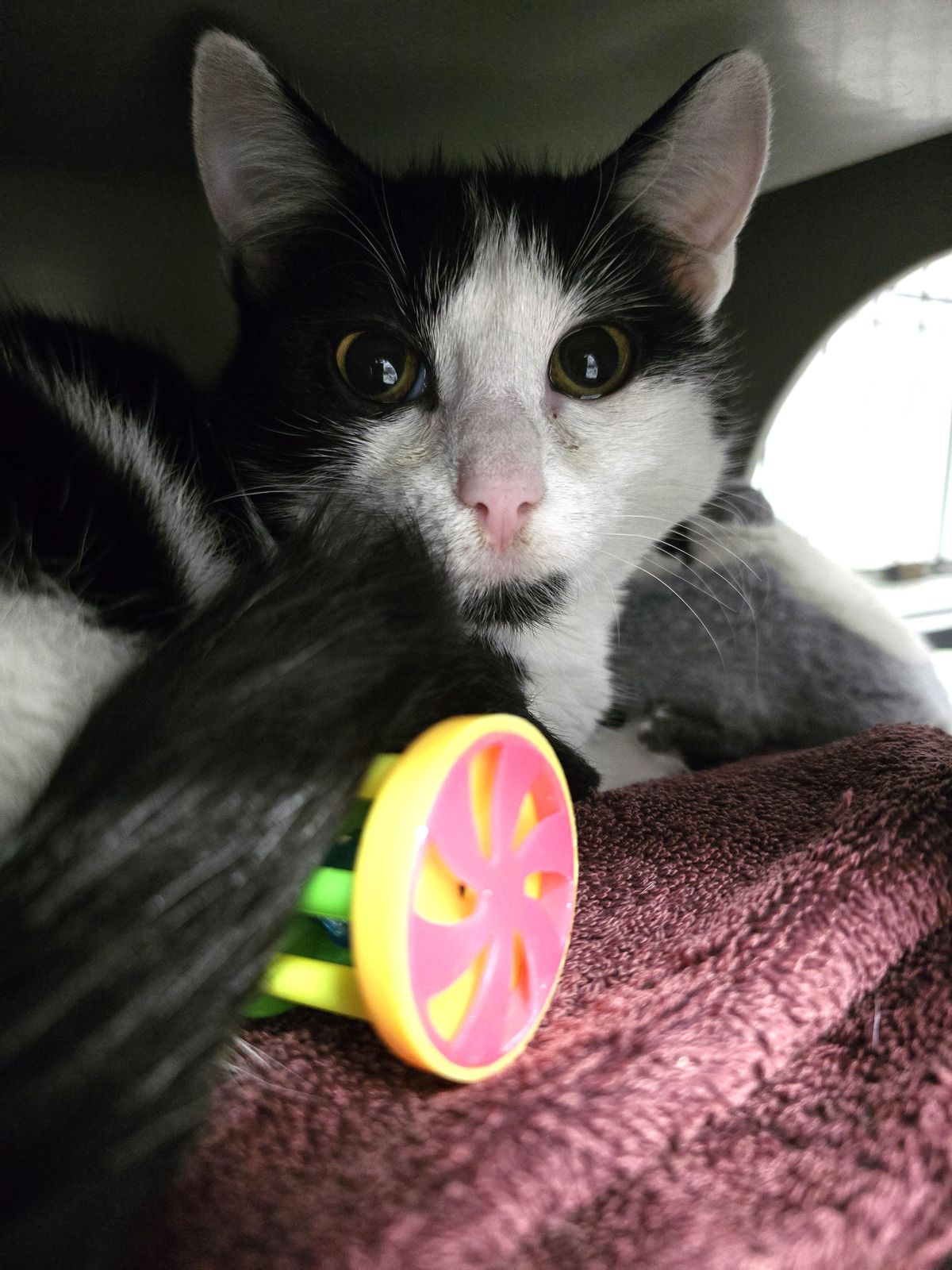 Gallery image: Marie