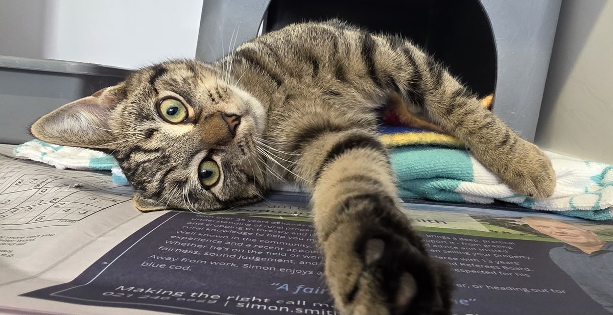 Gallery image: Grumpy Gary