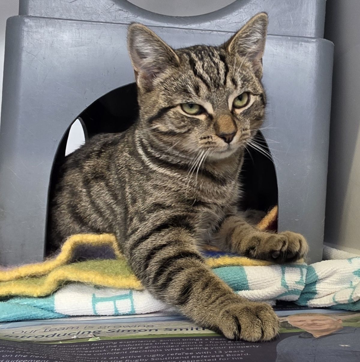 Gallery image: Grumpy Gary