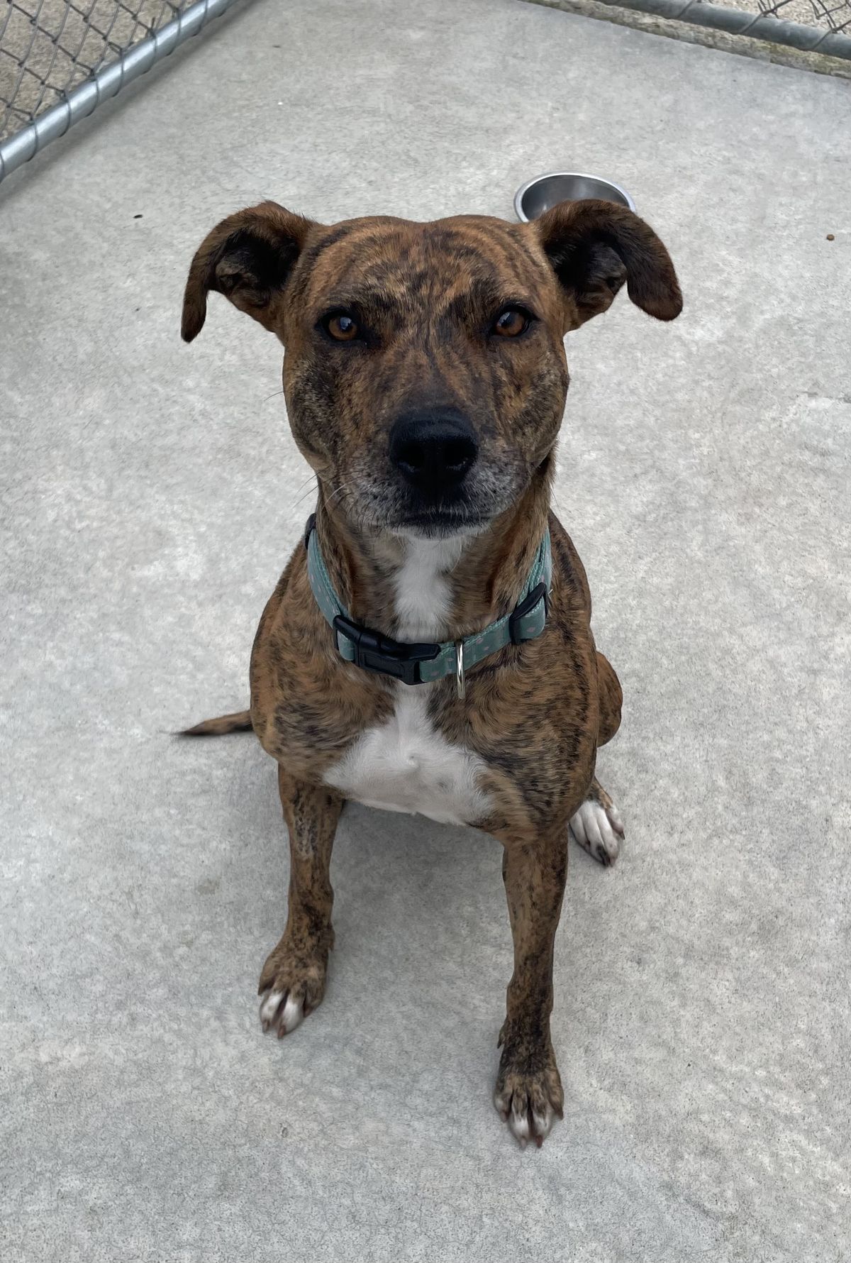 Gallery image: Liberty