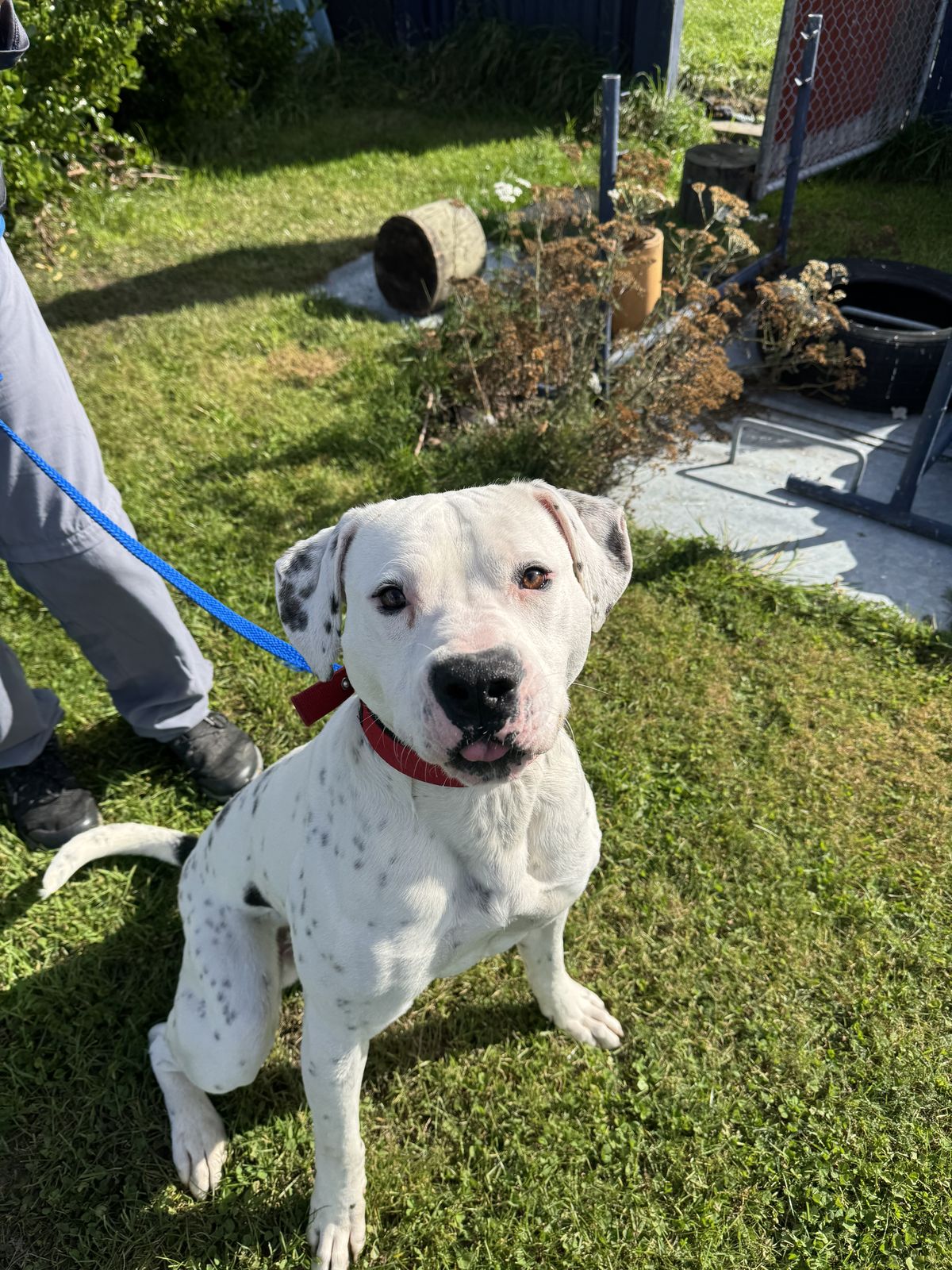 Gallery image: Albie