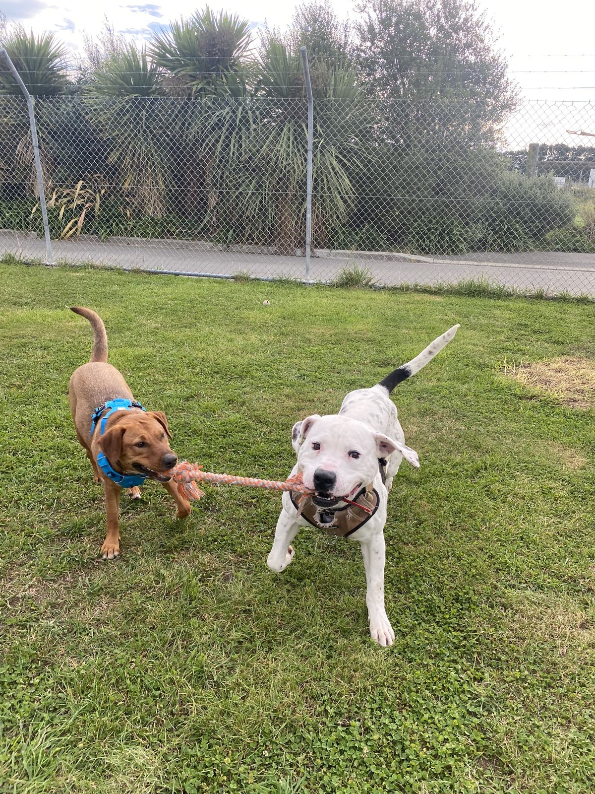 Gallery image: Albie