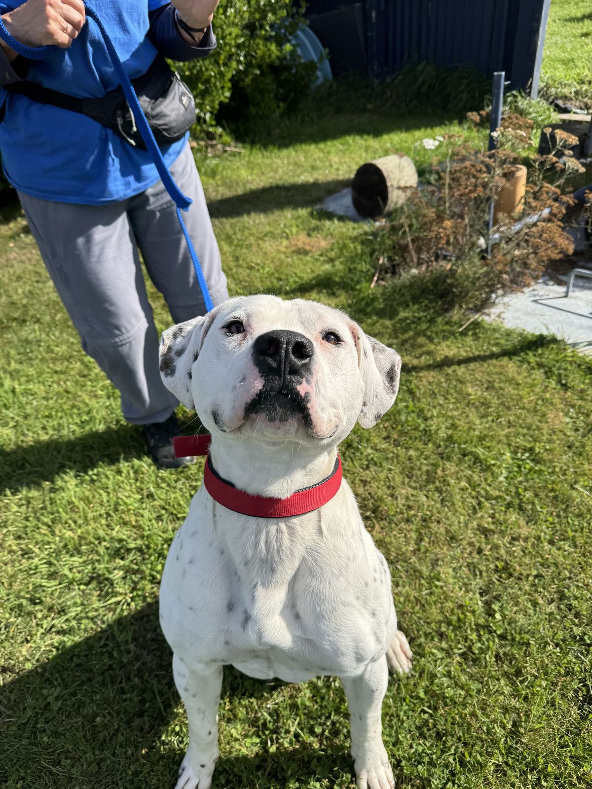 Gallery image: Albie