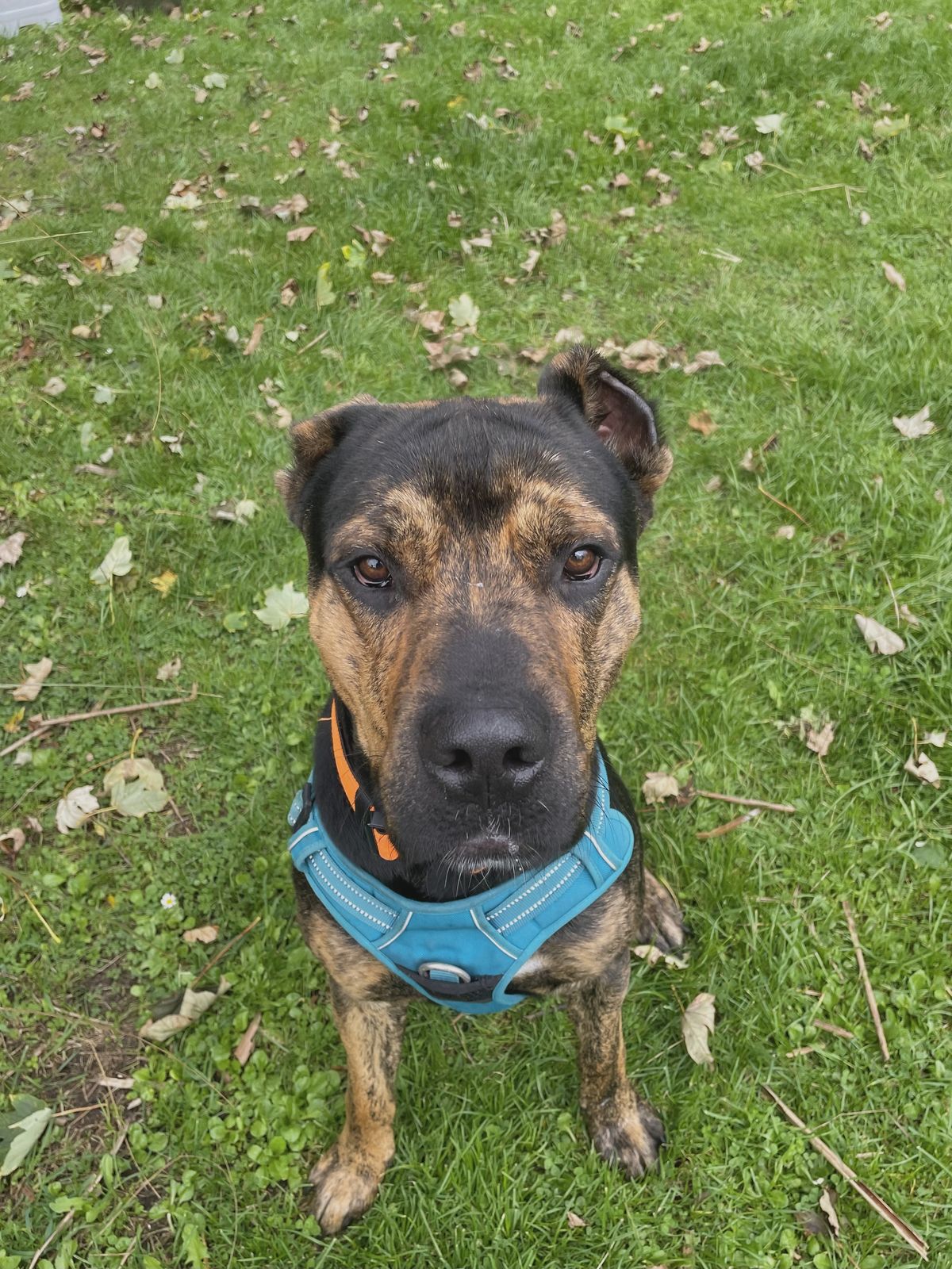 Gallery image: Reggie