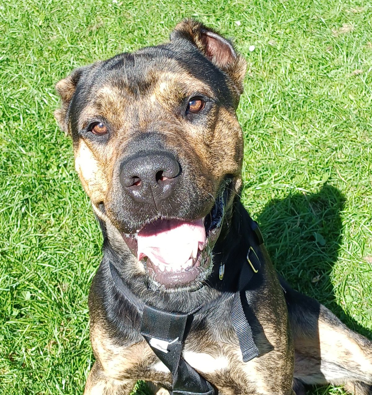 Gallery image: Reggie