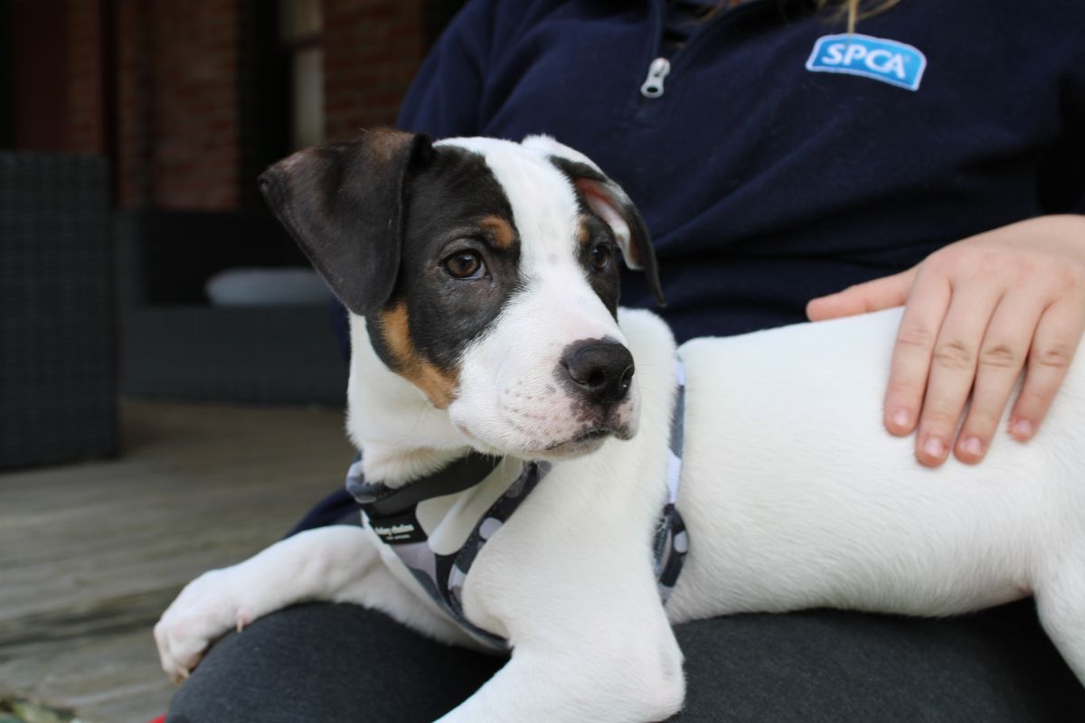 Gallery image: Edison