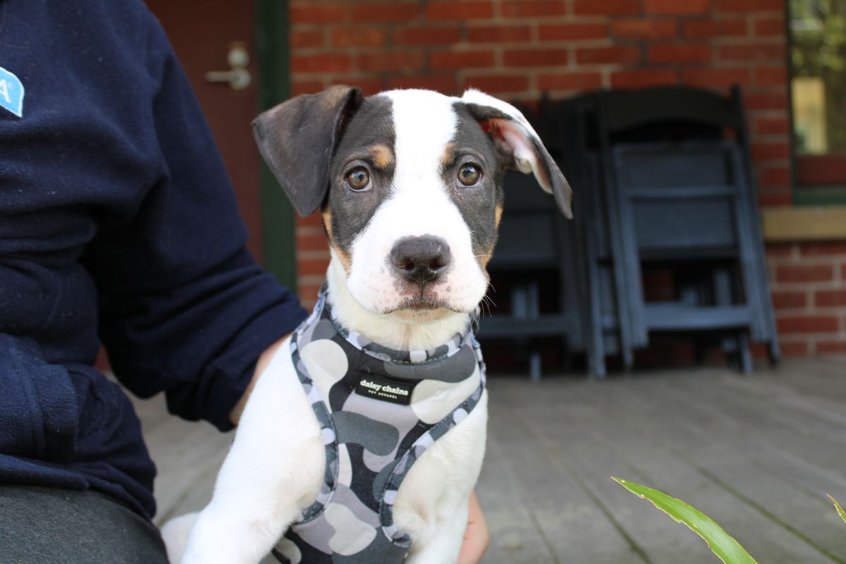 Gallery image: Edison