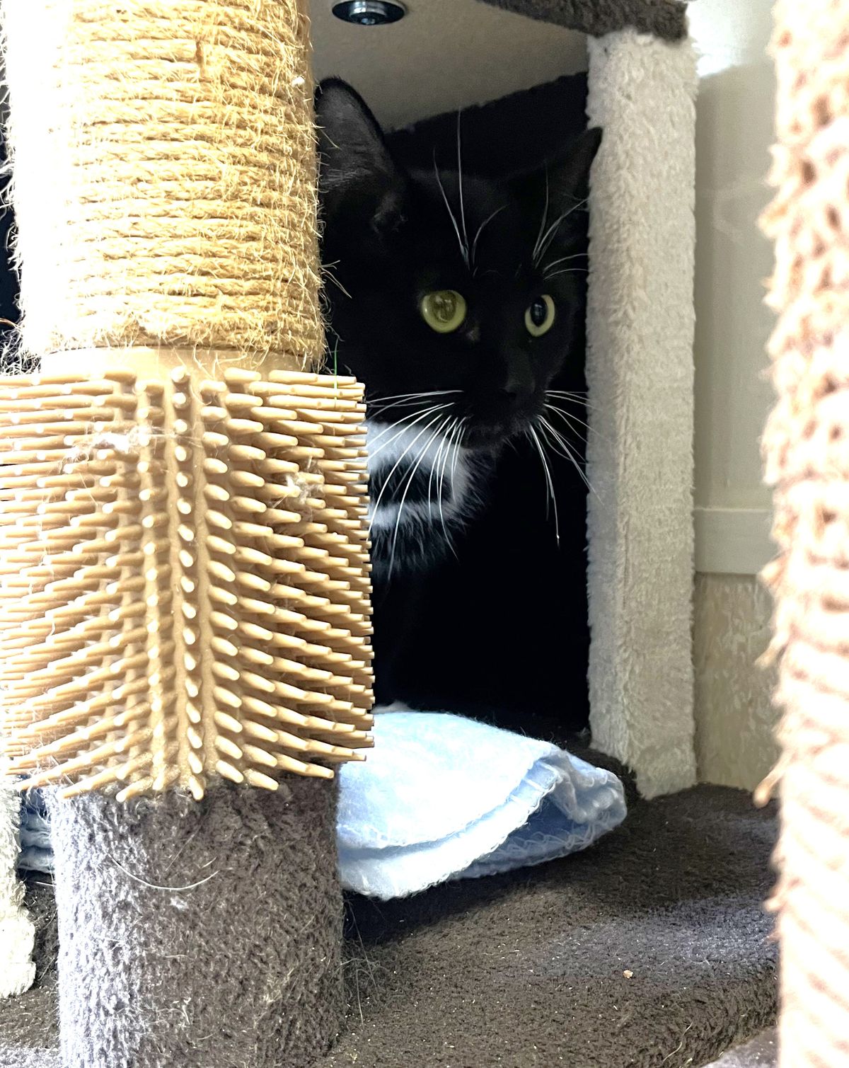 Gallery image: Patience