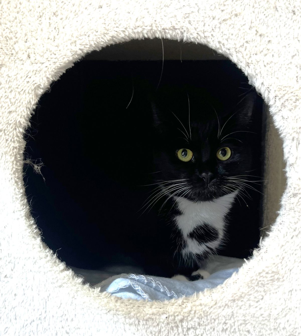 Gallery image: Patience