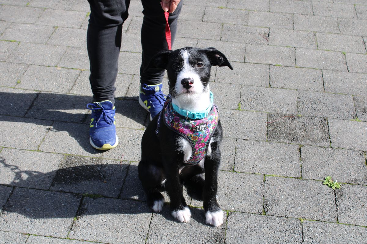 Gallery image: Marceline