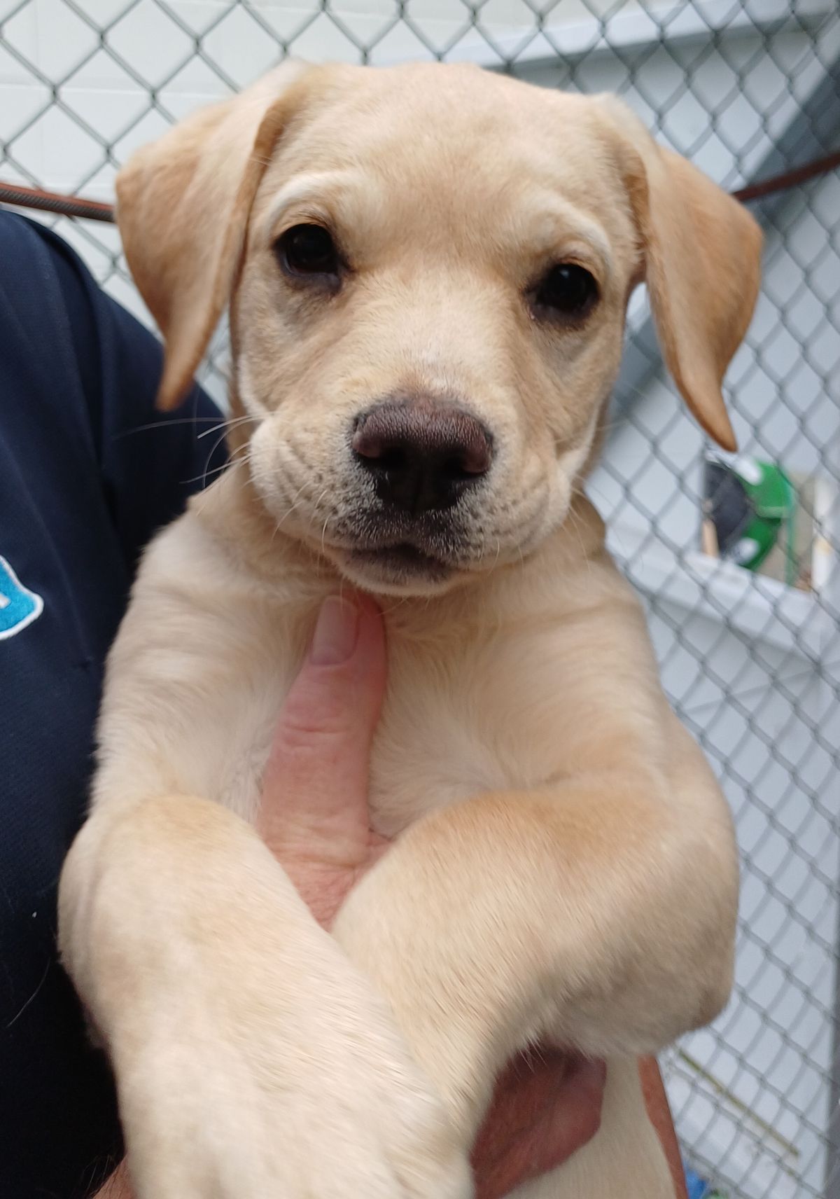 Gallery image: Bubbles