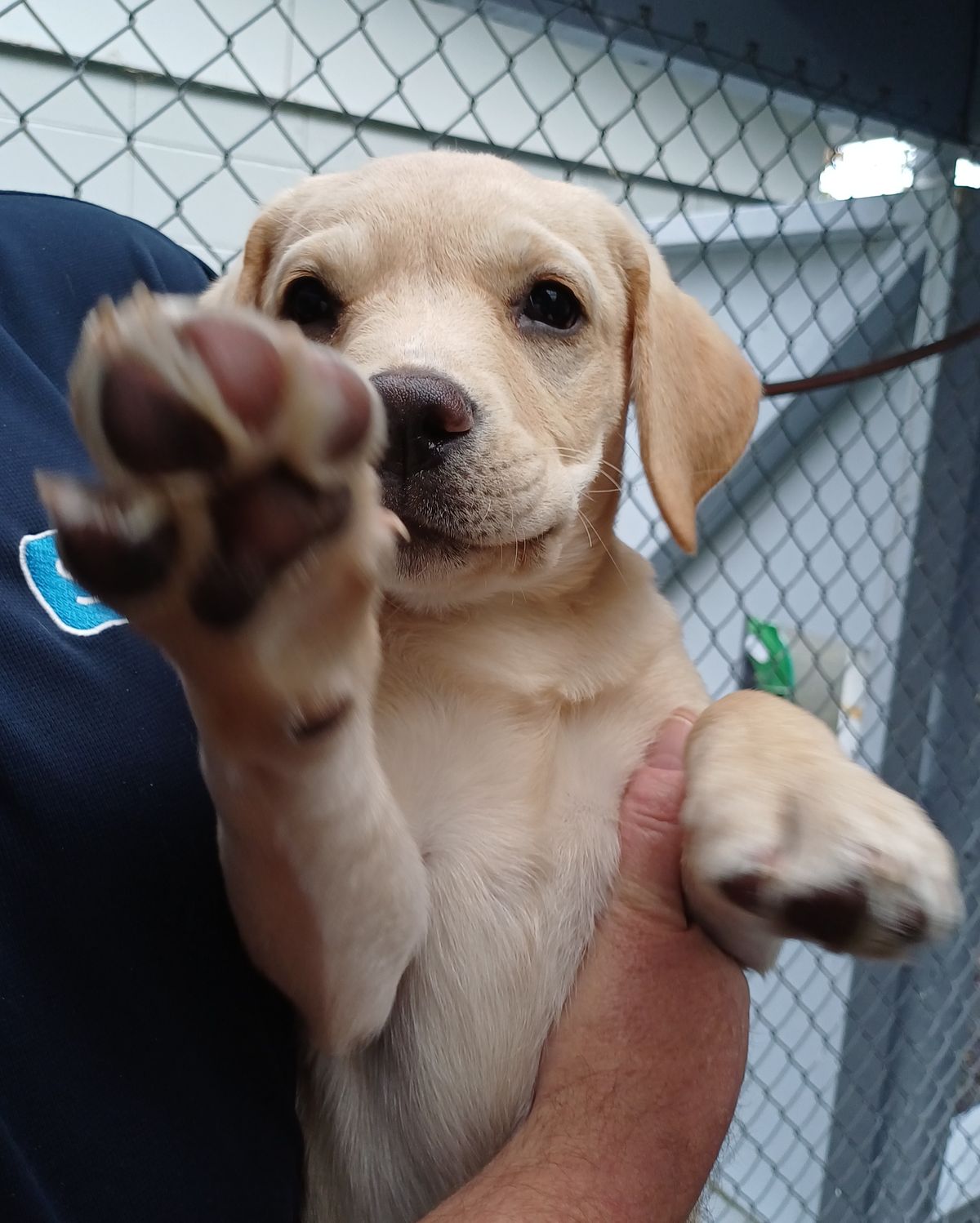 Gallery image: Bubbles