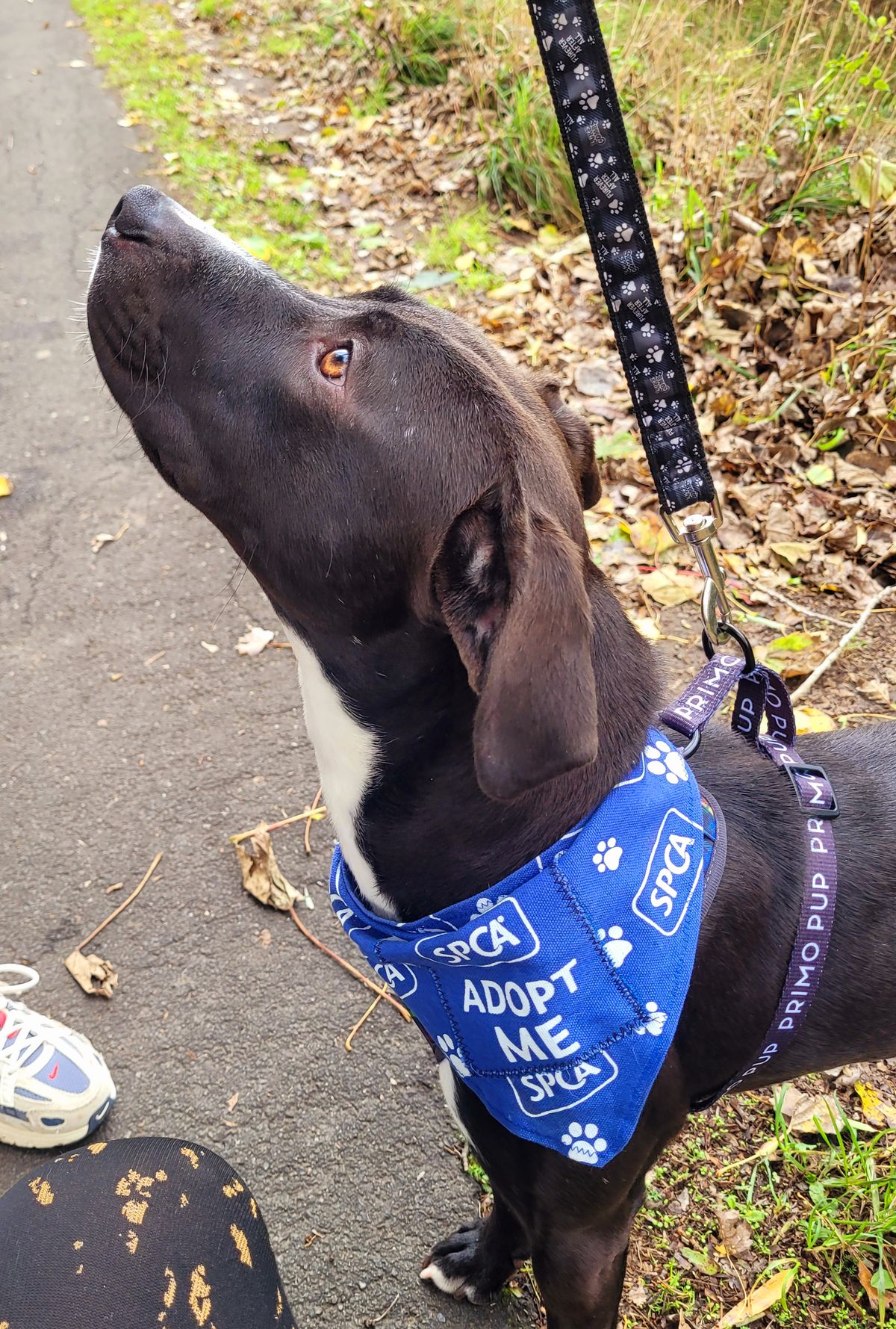 Gallery image: Violet 