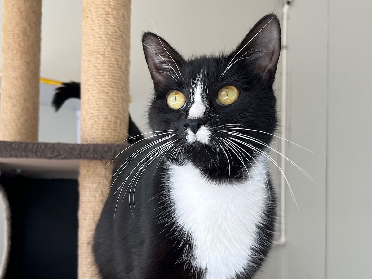 Gallery image: Magenta