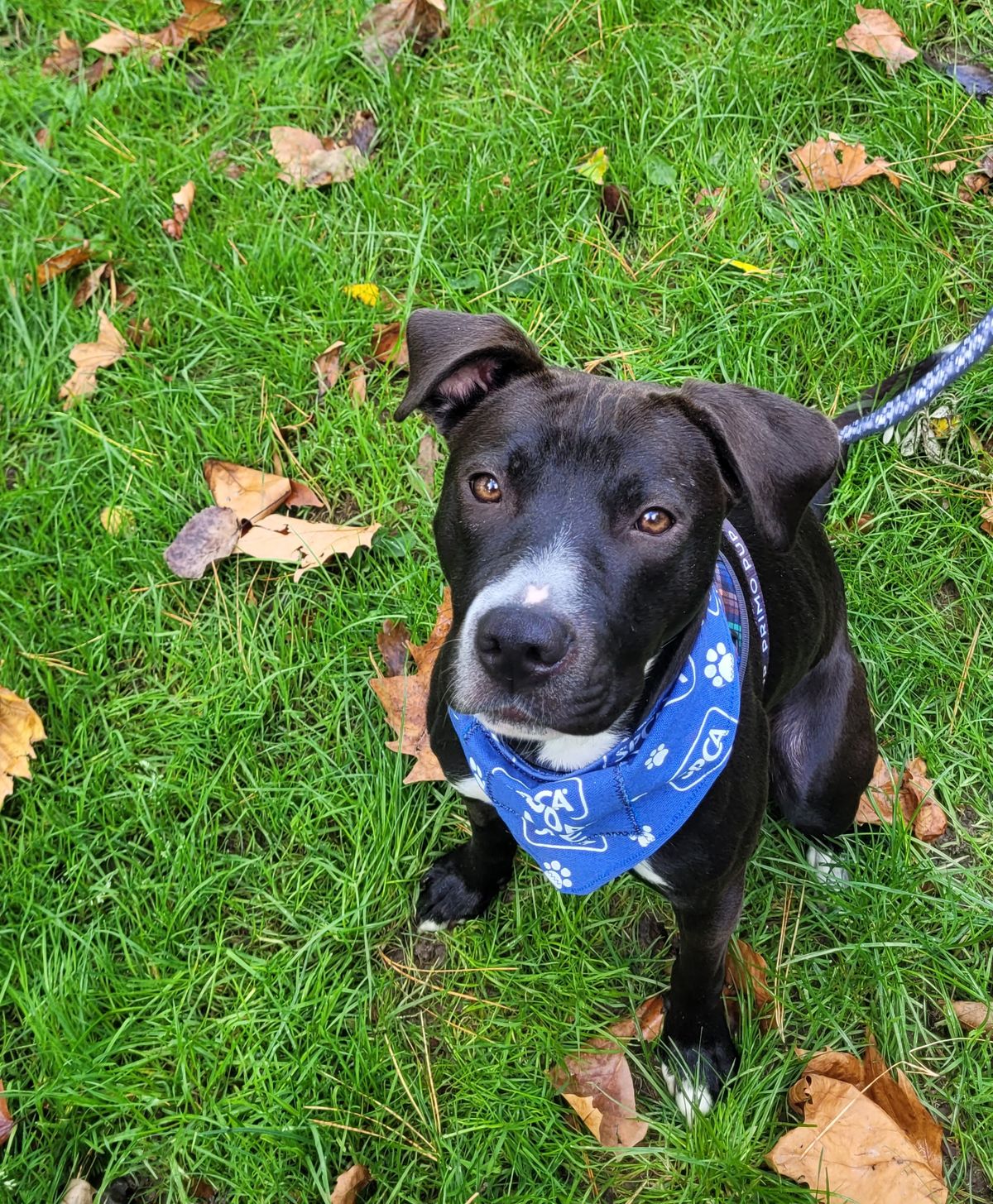 Gallery image: Violet 