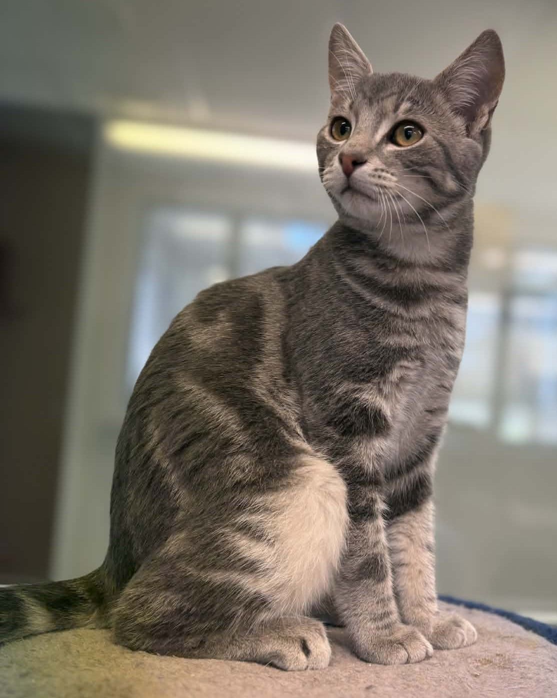 Gallery image: Bruce