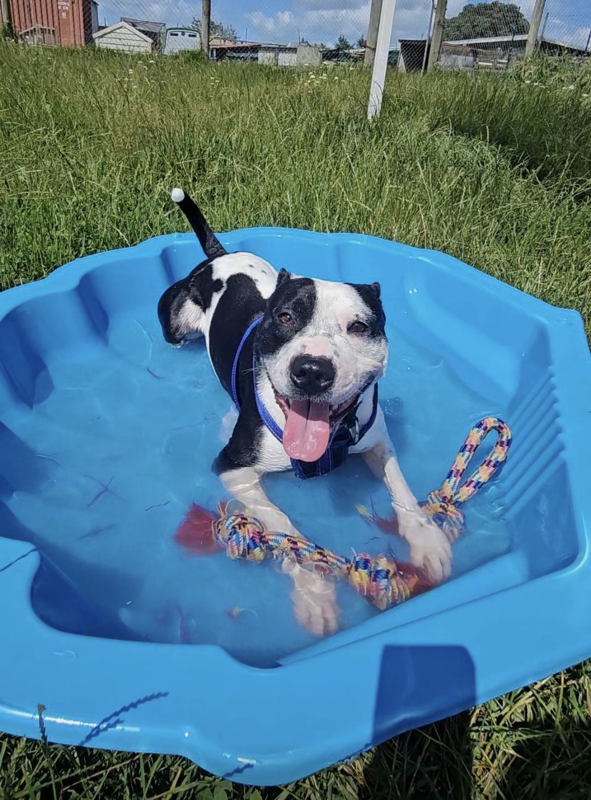 Gallery image: Tigger