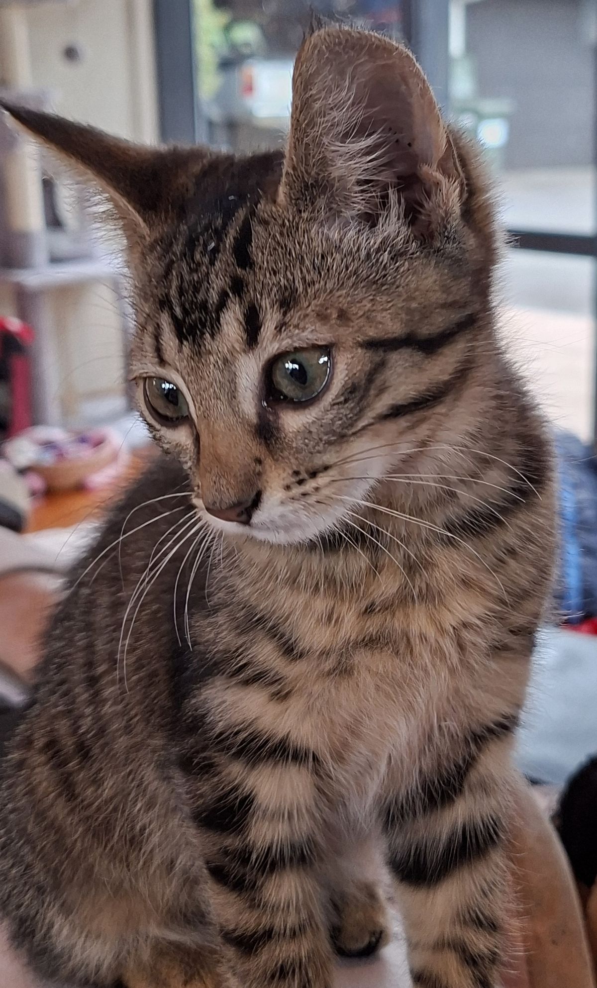 Gallery image: Mickey