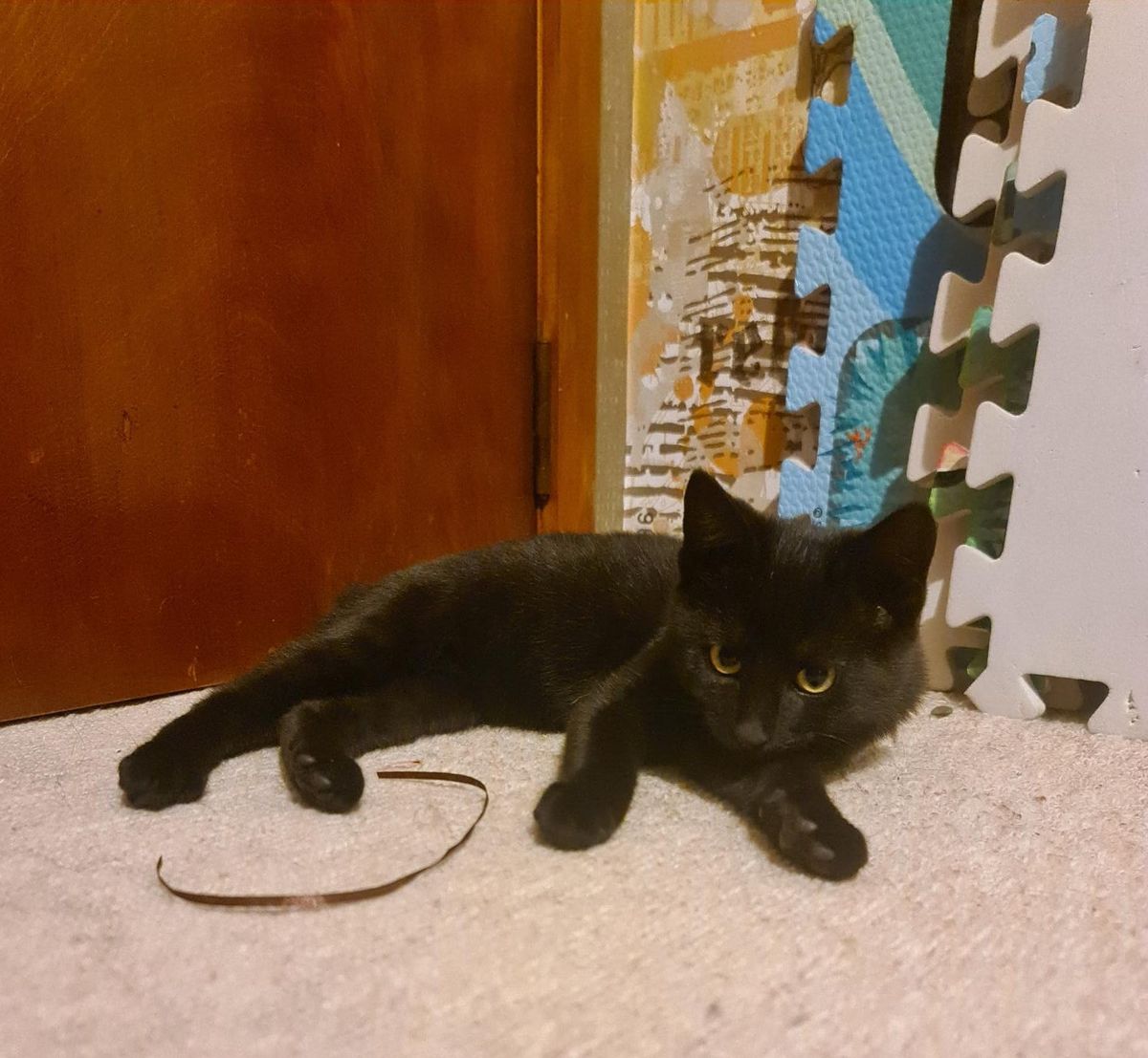 Gallery image: Vesper