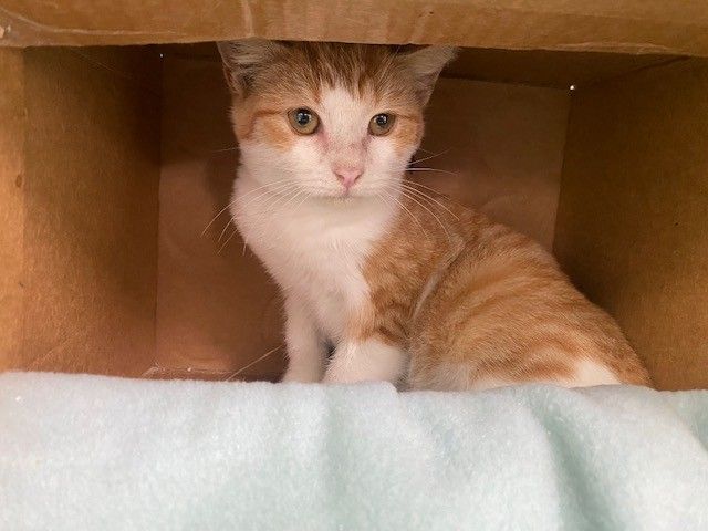 Gallery image: Feefee