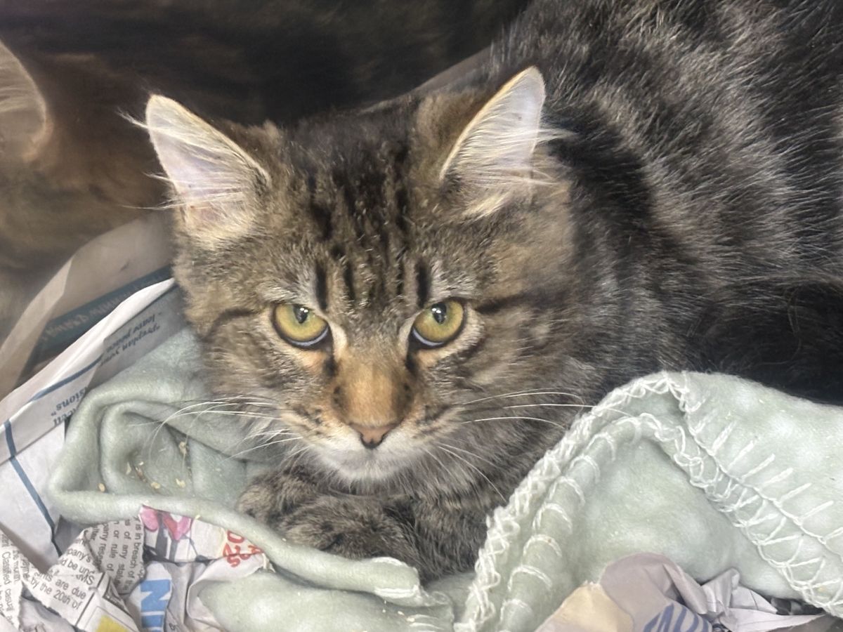 Gallery image: Lex Luther