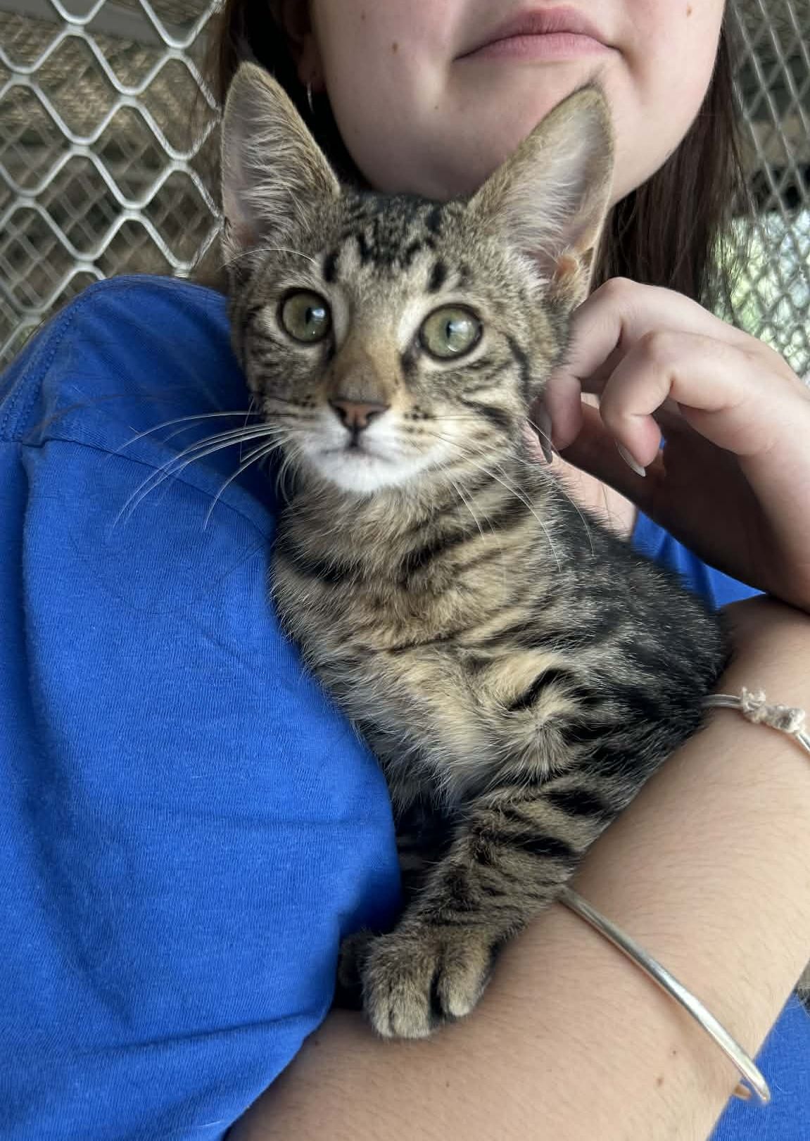 Gallery image: Mickey