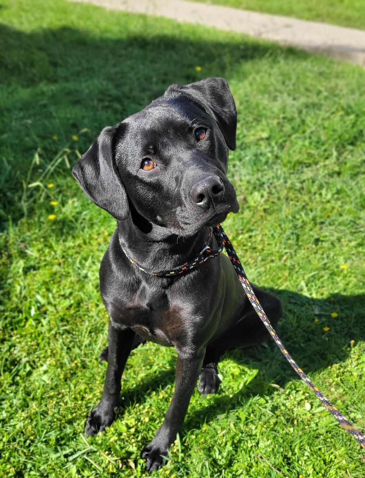 Gallery image: Tonka