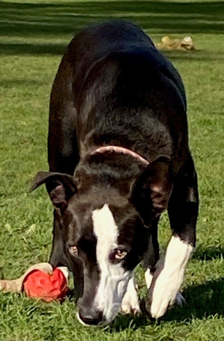 Gallery image: Namaari