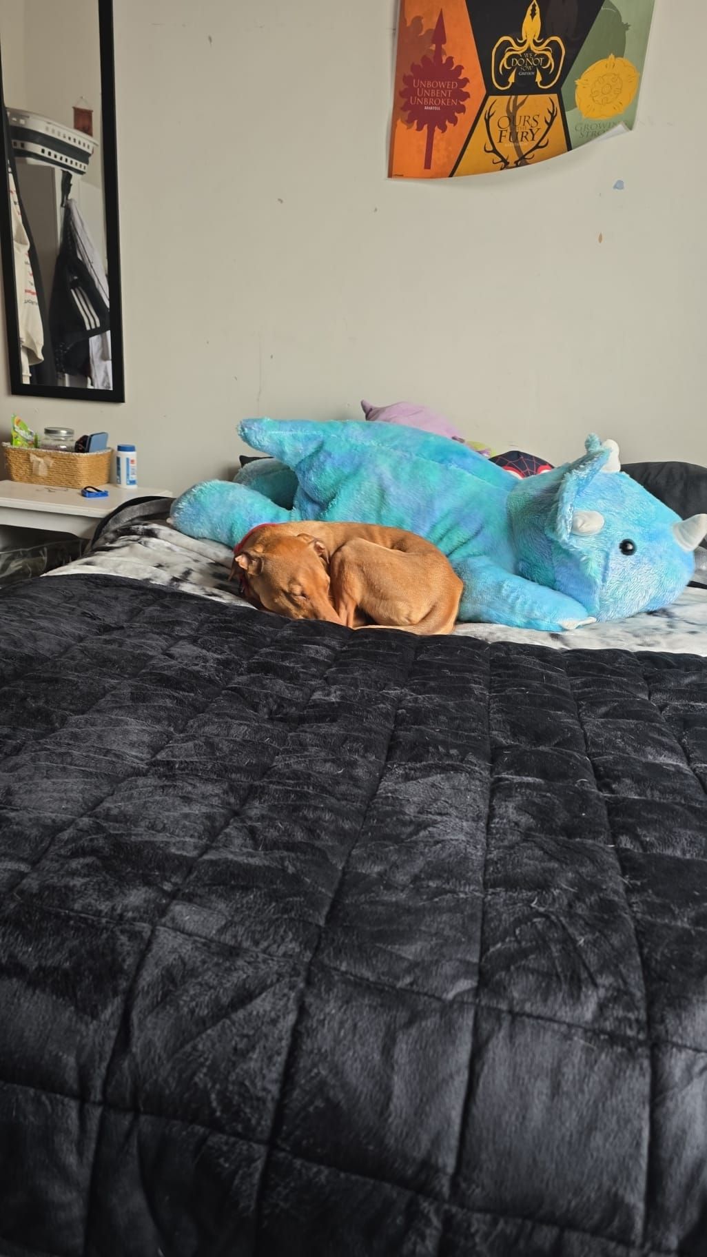 Gallery image: Charlie 