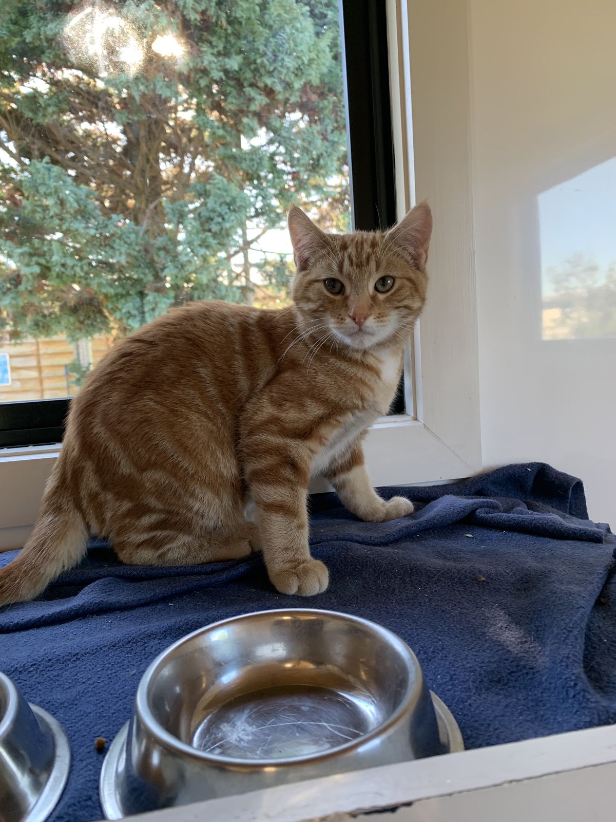 Gallery image: Beacon