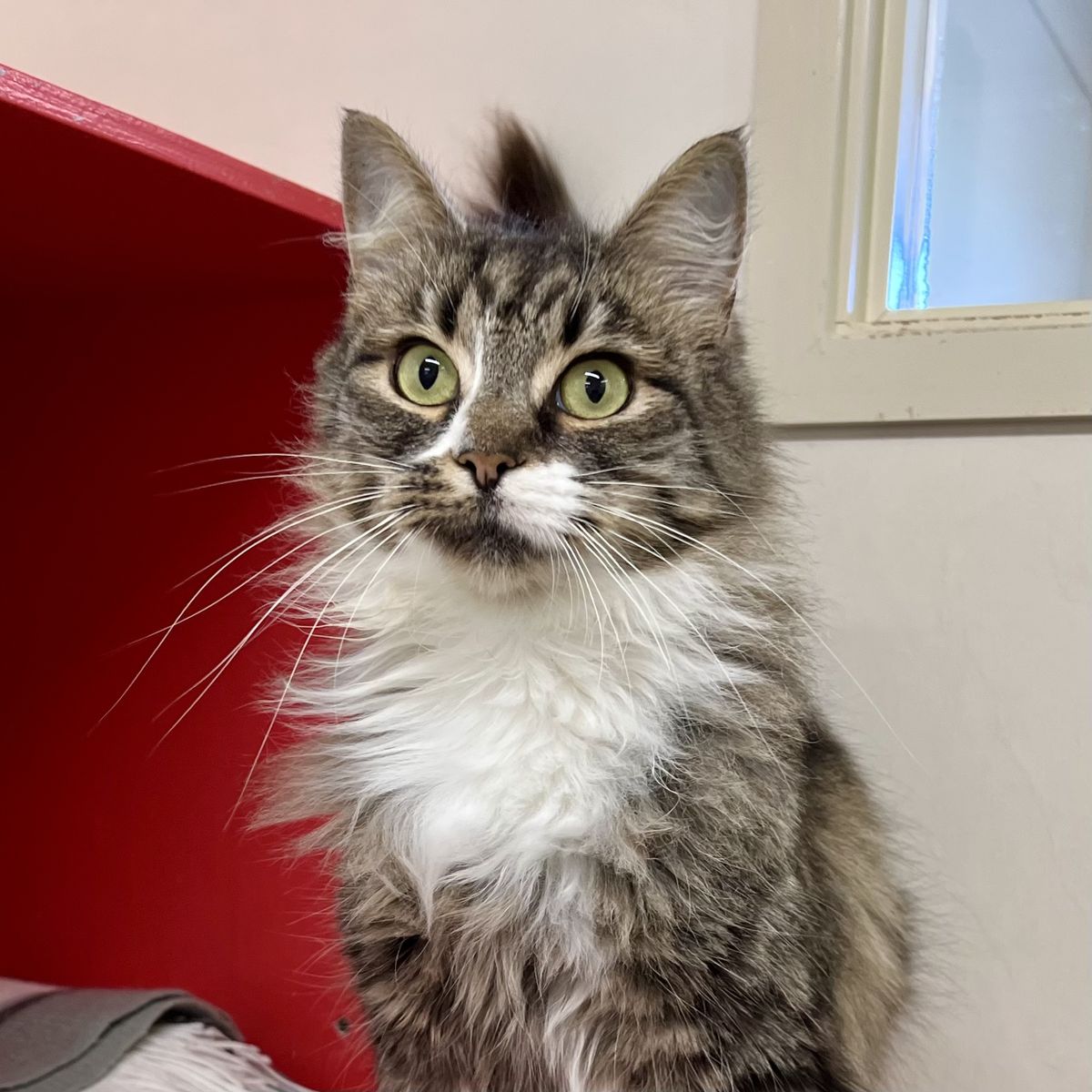 Gallery image: Mogwai