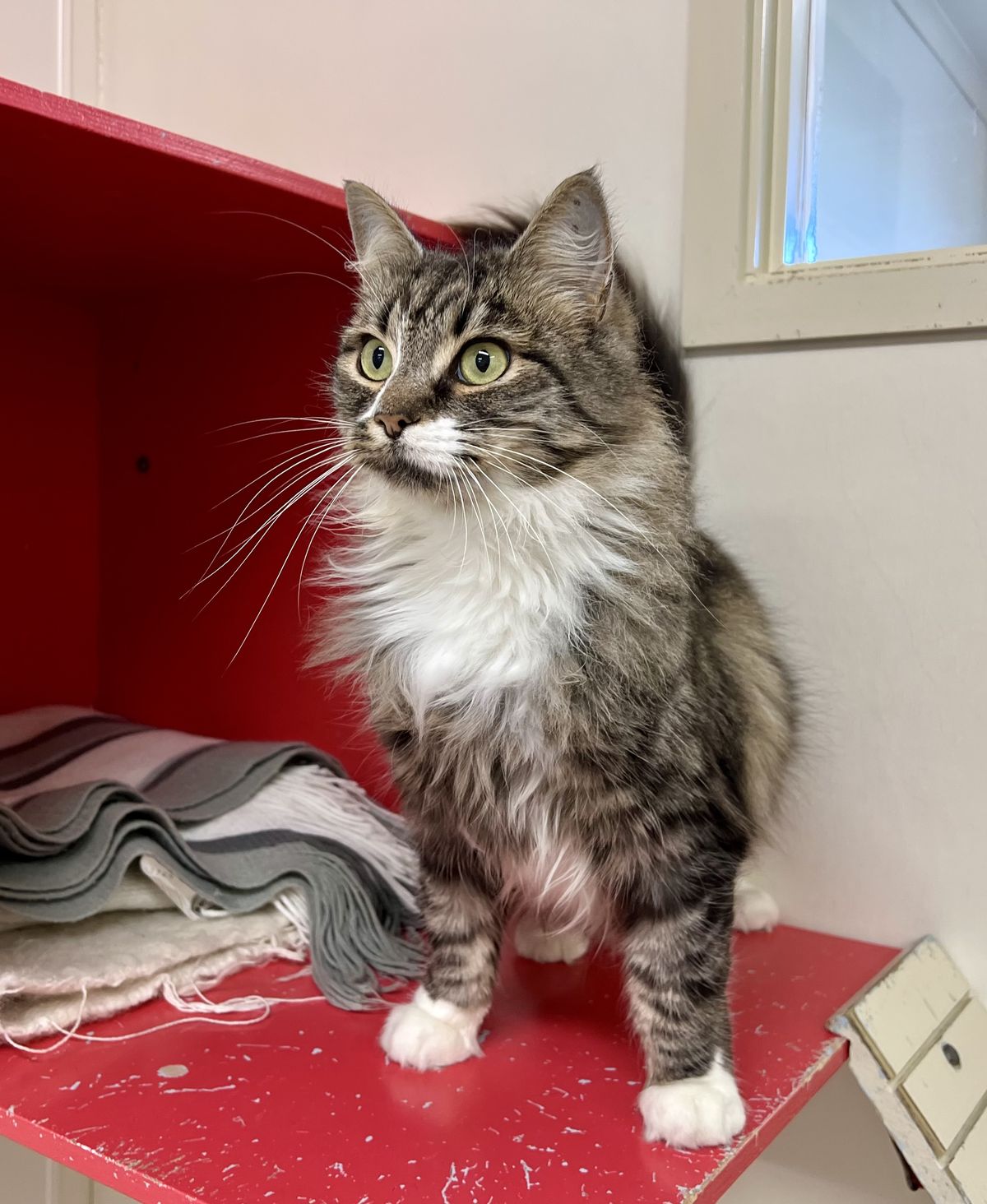 Gallery image: Mogwai