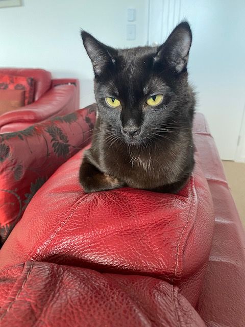 Gallery image: Fruitsalad