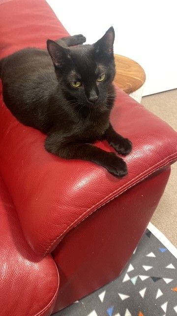 Gallery image: Fruitsalad