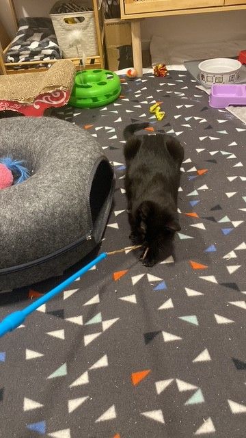 Gallery image: Fruitsalad