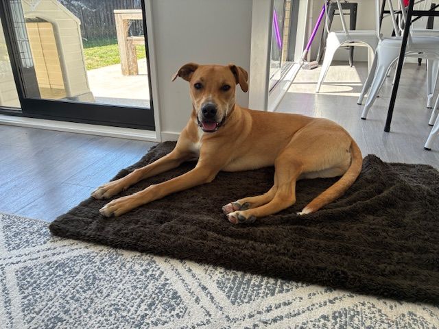 Gallery image: Zephyr