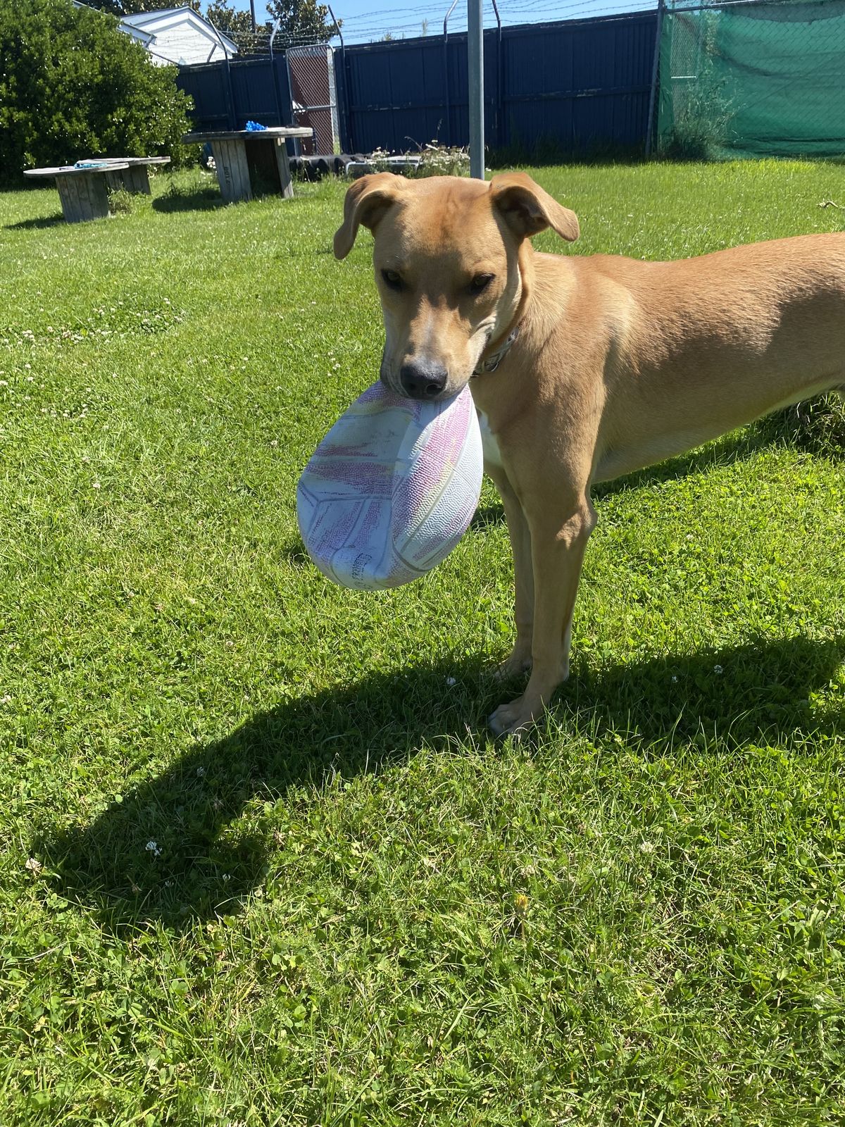 Gallery image: Zephyr