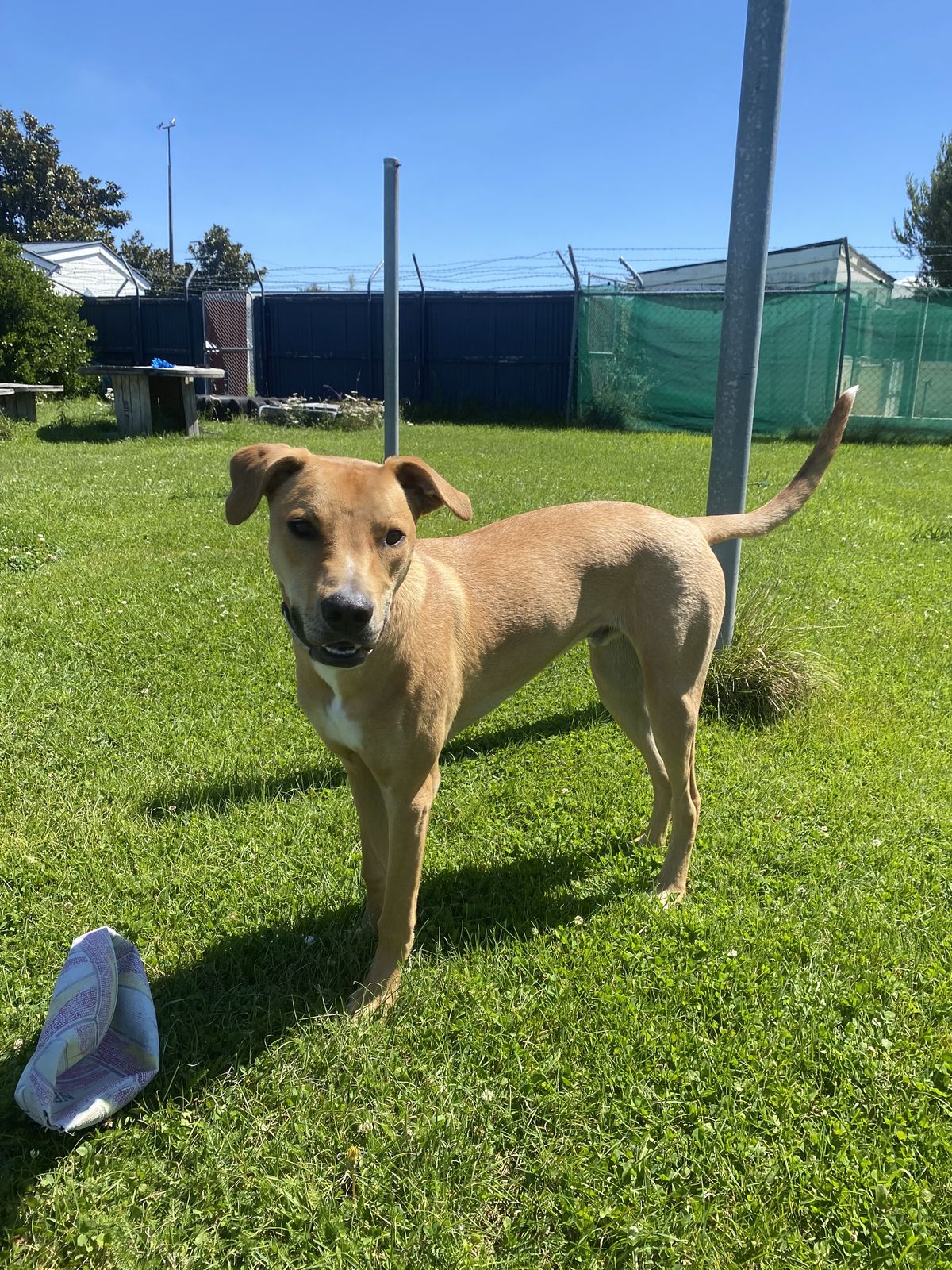 Gallery image: Zephyr