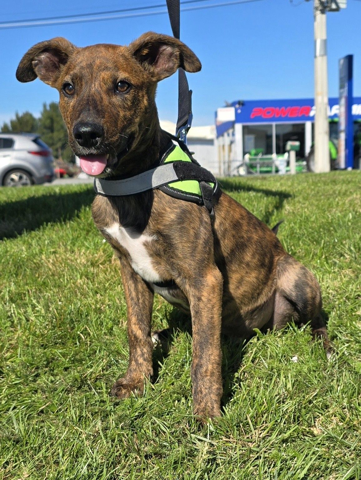 Gallery image: Brian