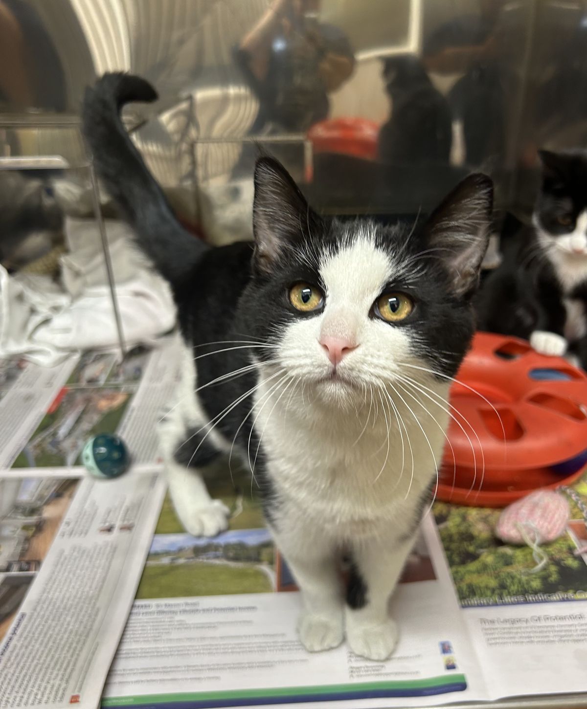 Gallery image: Picasso