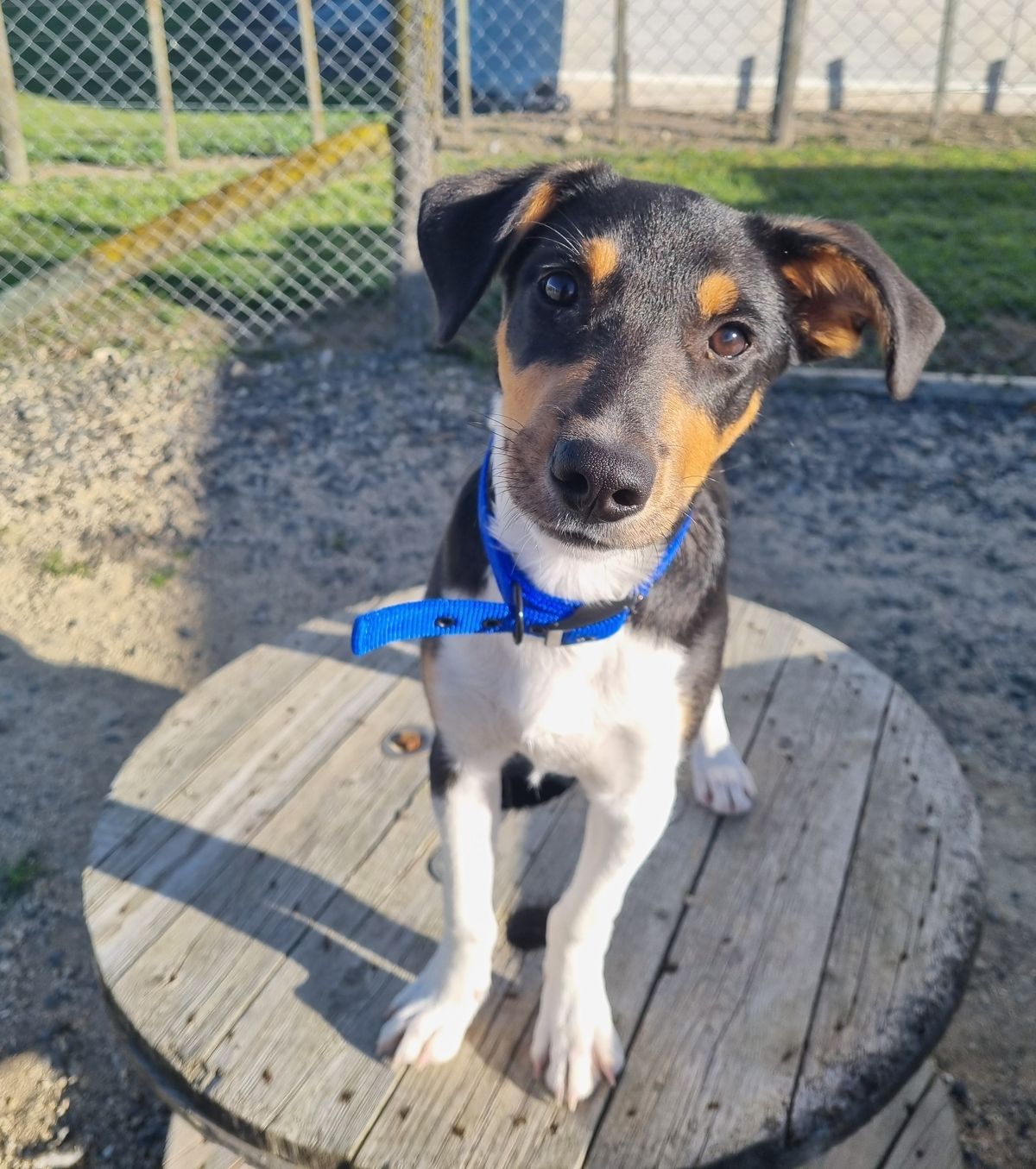 Gallery image: Cooper