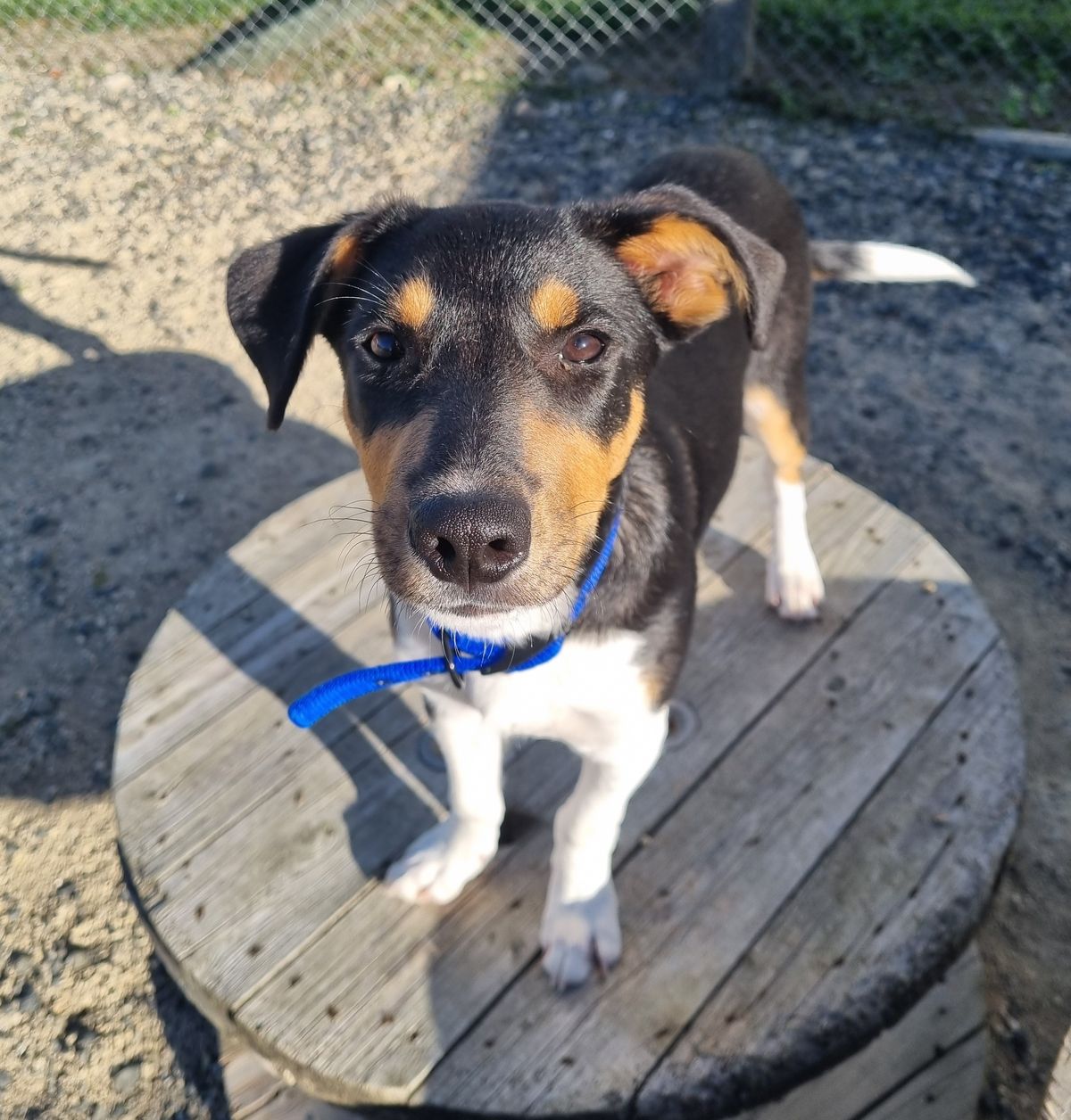 Gallery image: Cooper