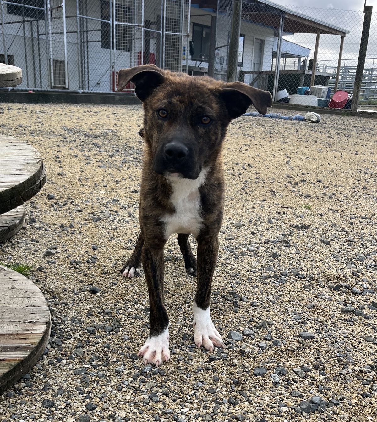 Gallery image: Murphy