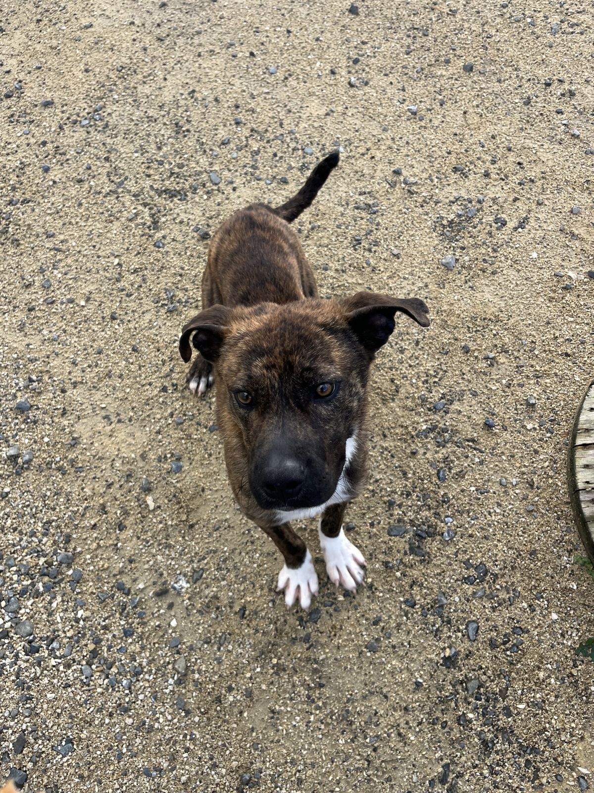 Gallery image: Murphy