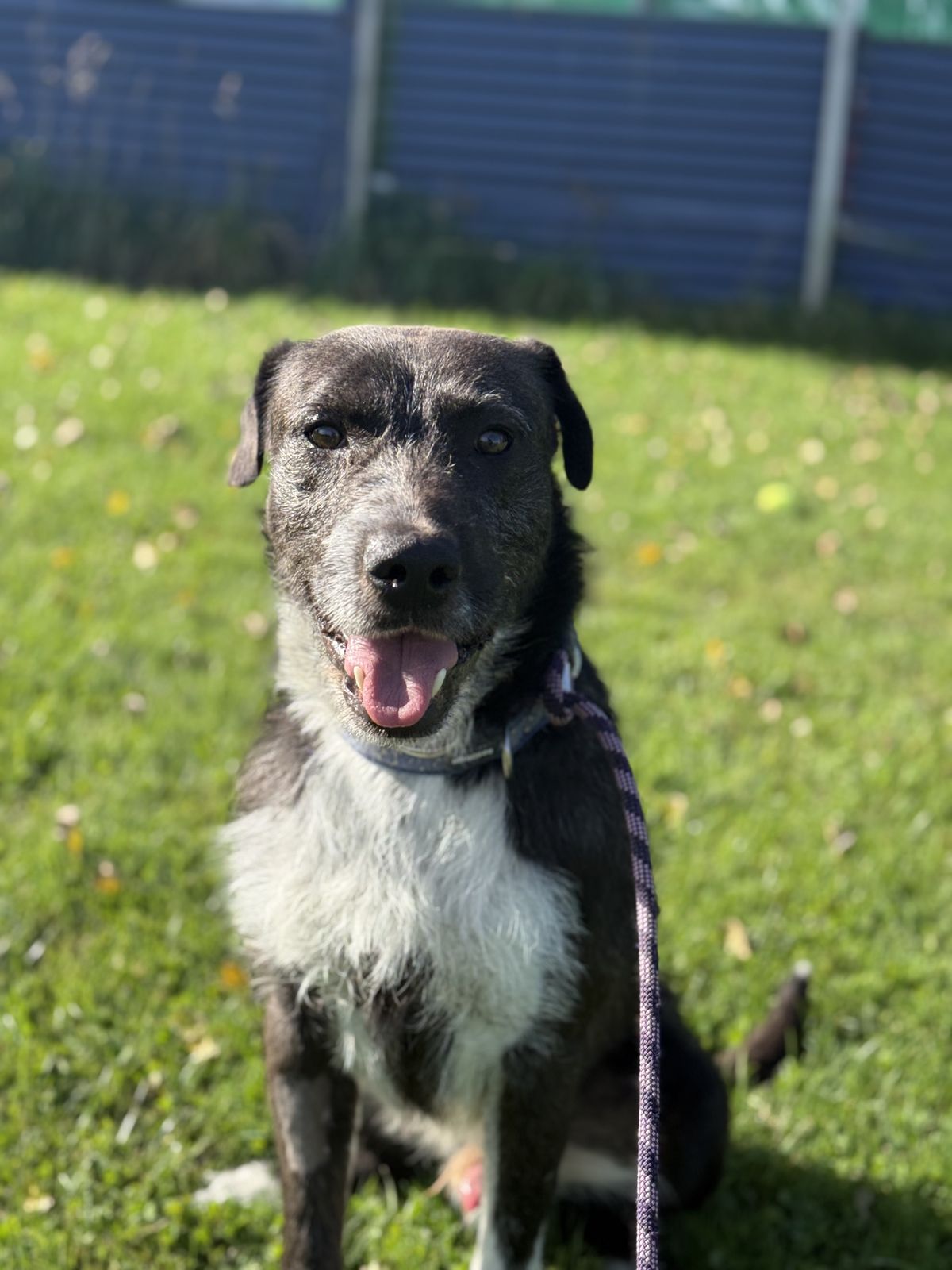 Gallery image: Spike