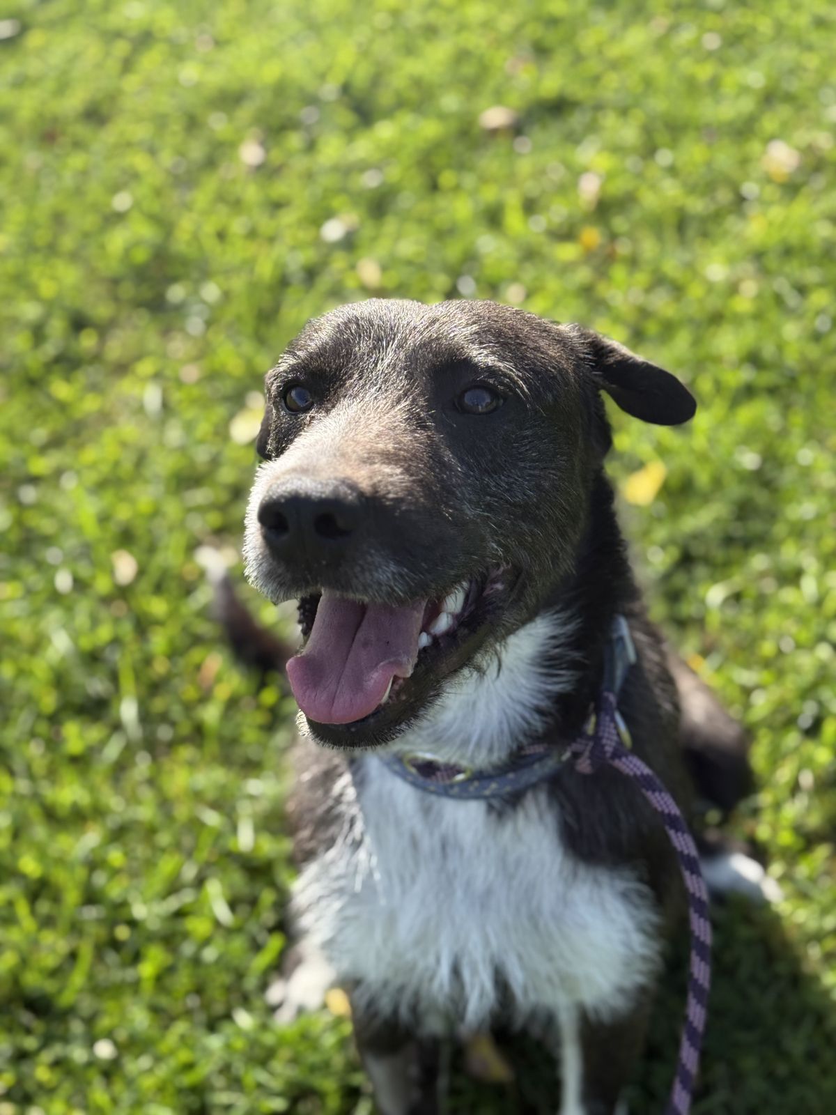 Gallery image: Spike