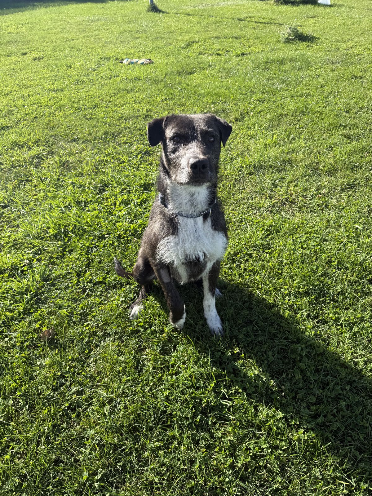 Gallery image: Spike