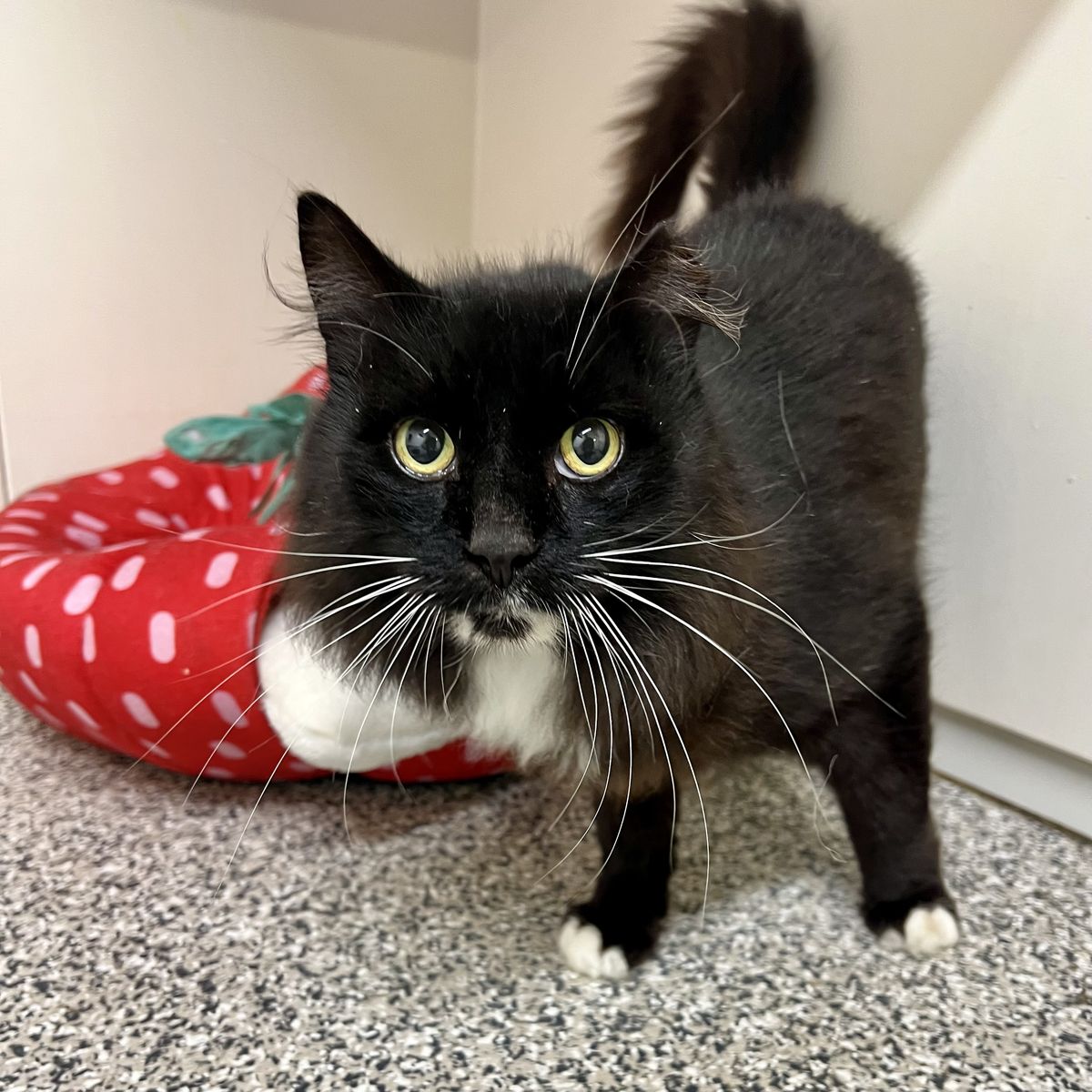 Gallery image: Keith