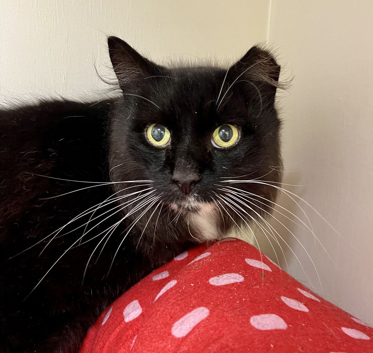 Gallery image: Keith